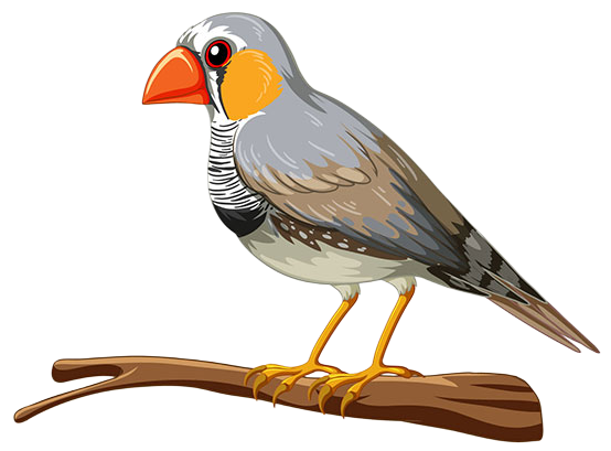 Vector-services-New_1-Picsart-BackgroundRemover